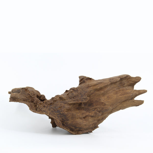 [Q5] Agarwood Natural Sculpture (Floating) - Papua